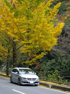 �X�g���[��