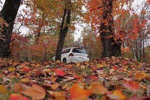 �I�f�b�Z�C