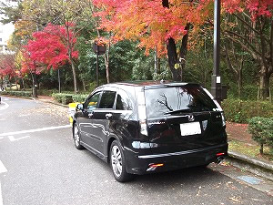 �X�g���[��