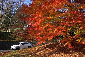 �V�r�b�NTYPE R