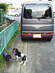 �o���X �z�r�I