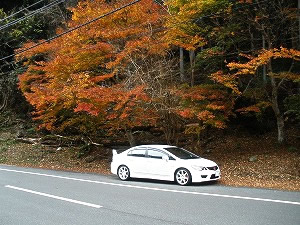 �V�r�b�NTYPE R