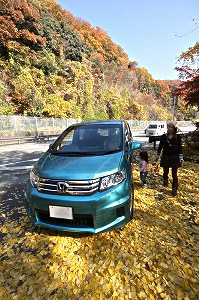 フリード スパイク