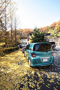 �t���[�h �X�p�C�N