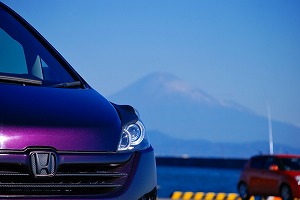 �X�e�b�v���S��