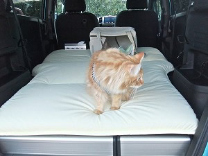 �t���[�h �X�p�C�N