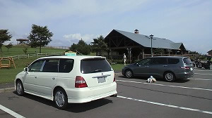 �I�f�b�Z�C