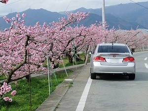 �V�r�b�N�n�C�u���b�h