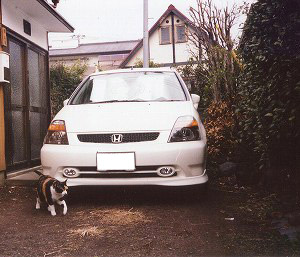 �X�g���[��