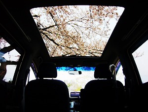 �t���[�h �X�p�C�N