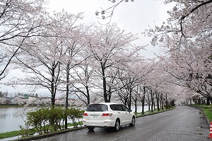 �I�f�b�Z�C