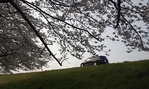 �I�f�b�Z�C