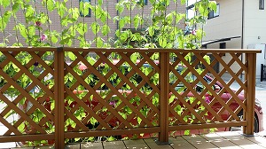 �X�g���[��