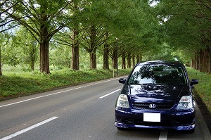 �X�g���[��