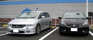 �t�B�b�g