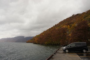 フリード スパイク