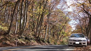 �V�r�b�NTYPE R