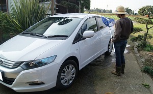 �C���T�C�g