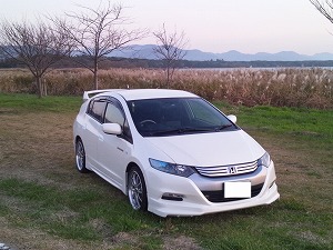 �C���T�C�g