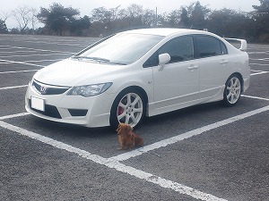 �V�r�b�NTYPE R