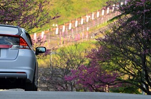 �C���T�C�g