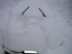 �V�r�b�NTYPE R