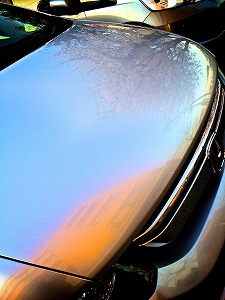 �I�f�b�Z�C