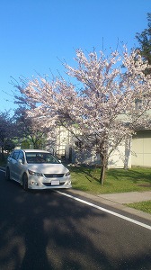 �X�g���[��