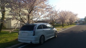 �X�g���[��