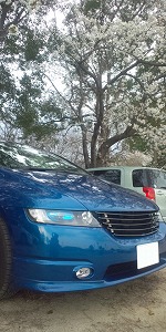 �I�f�b�Z�C