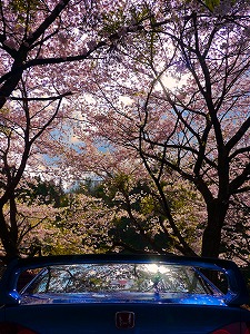 �V�r�b�NTYPE R