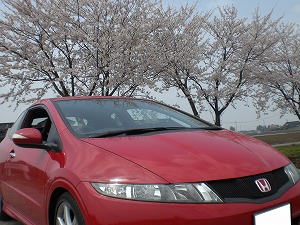 �V�r�b�NTYPE R