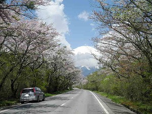 �X�g���[��