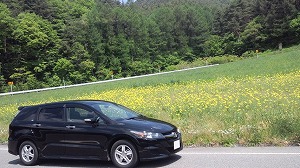 �X�g���[��