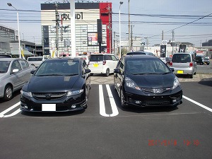 �t�B�b�g