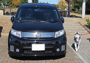 フリード スパイク