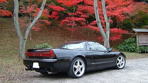NSX