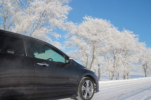 �I�f�b�Z�C