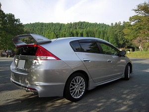 �C���T�C�g
