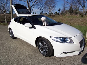 CR-Z