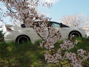 �C���T�C�g