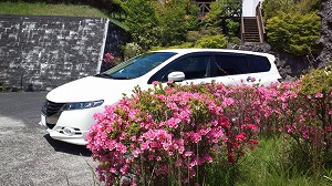 �I�f�b�Z�C