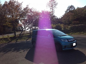 �t���[�h �X�p�C�N