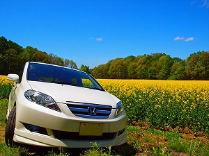 �G�f�B�b�N�X