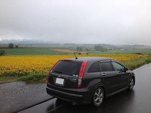 �X�g���[��