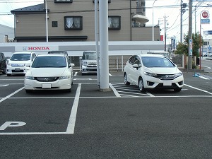フィット