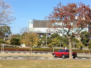 �v�������[�h