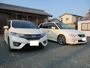 �t�B�b�g