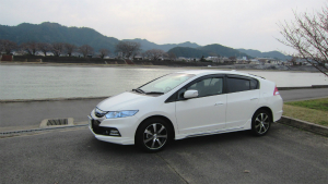 �C���T�C�g