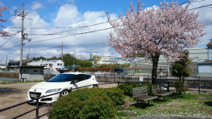 CR-Z